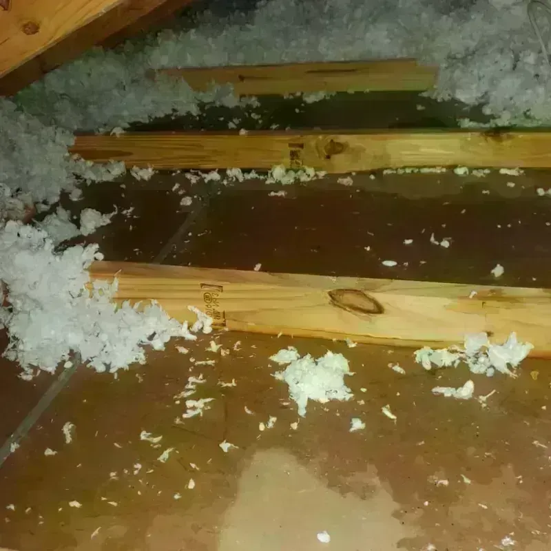 Attic Water Damage in Chester, GA